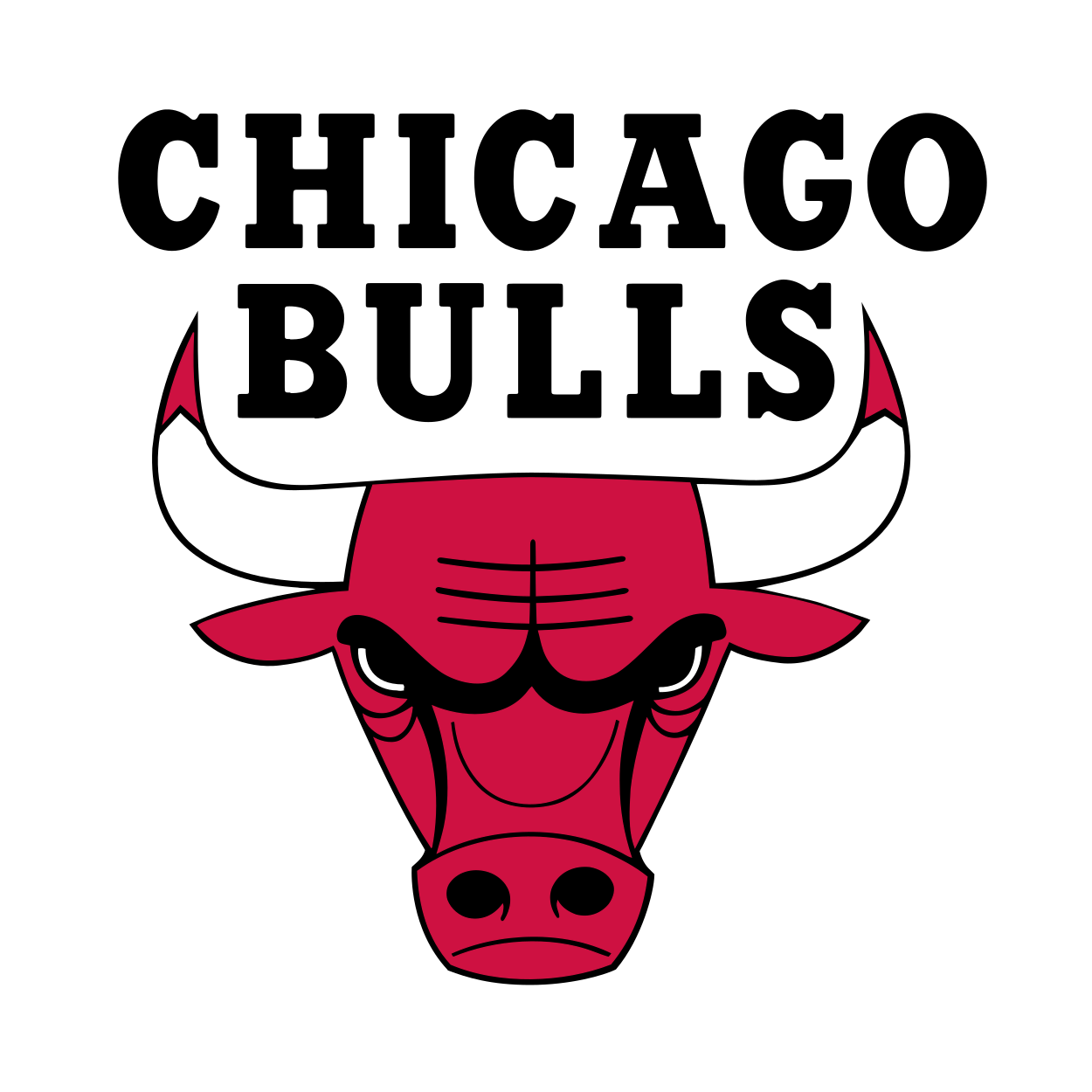 BULLS logo